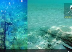 Copper sheathings found on Marinduque shipwreck