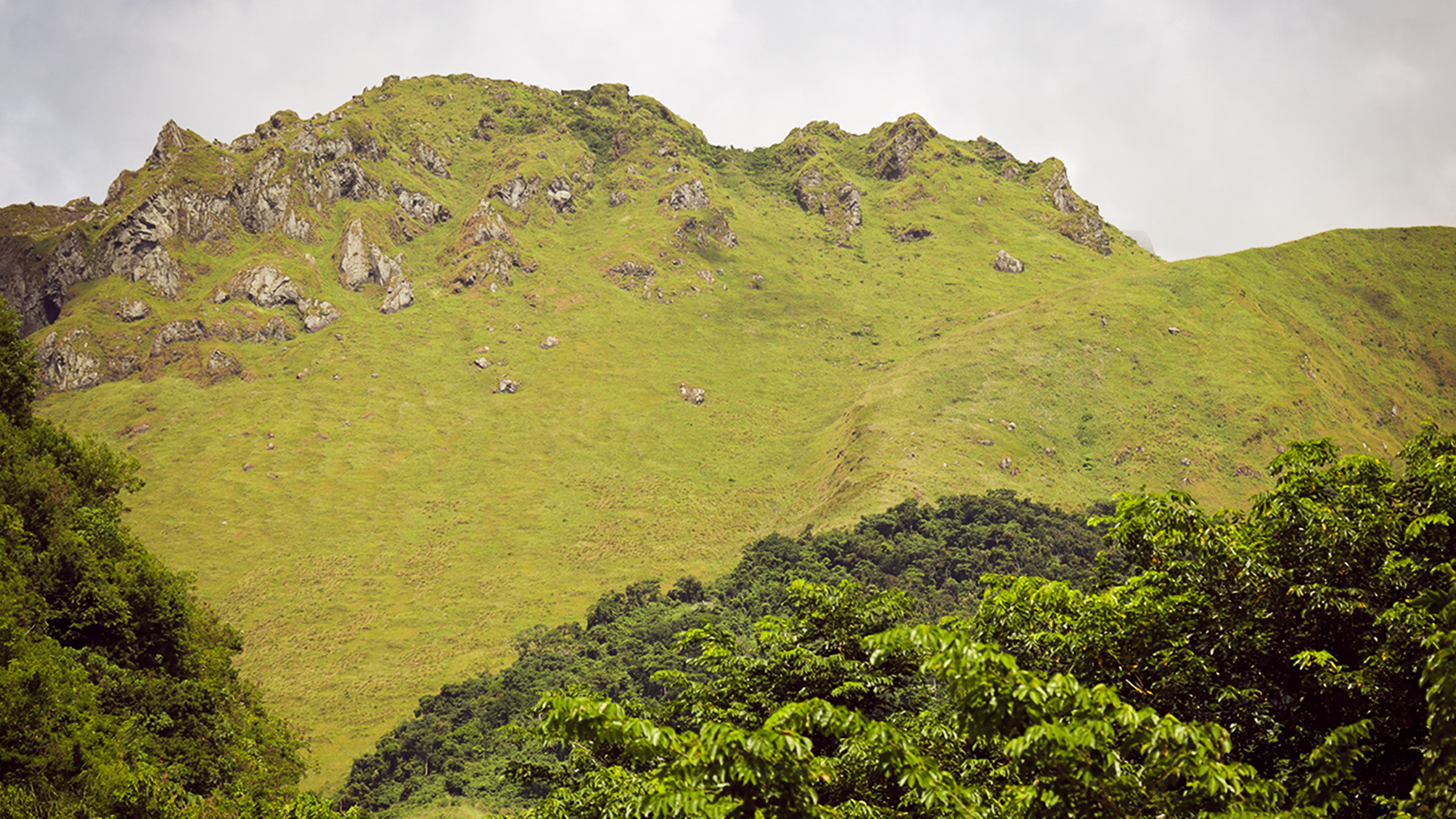 Mt. Malindig, an expansive stratovolcano in Marinduque