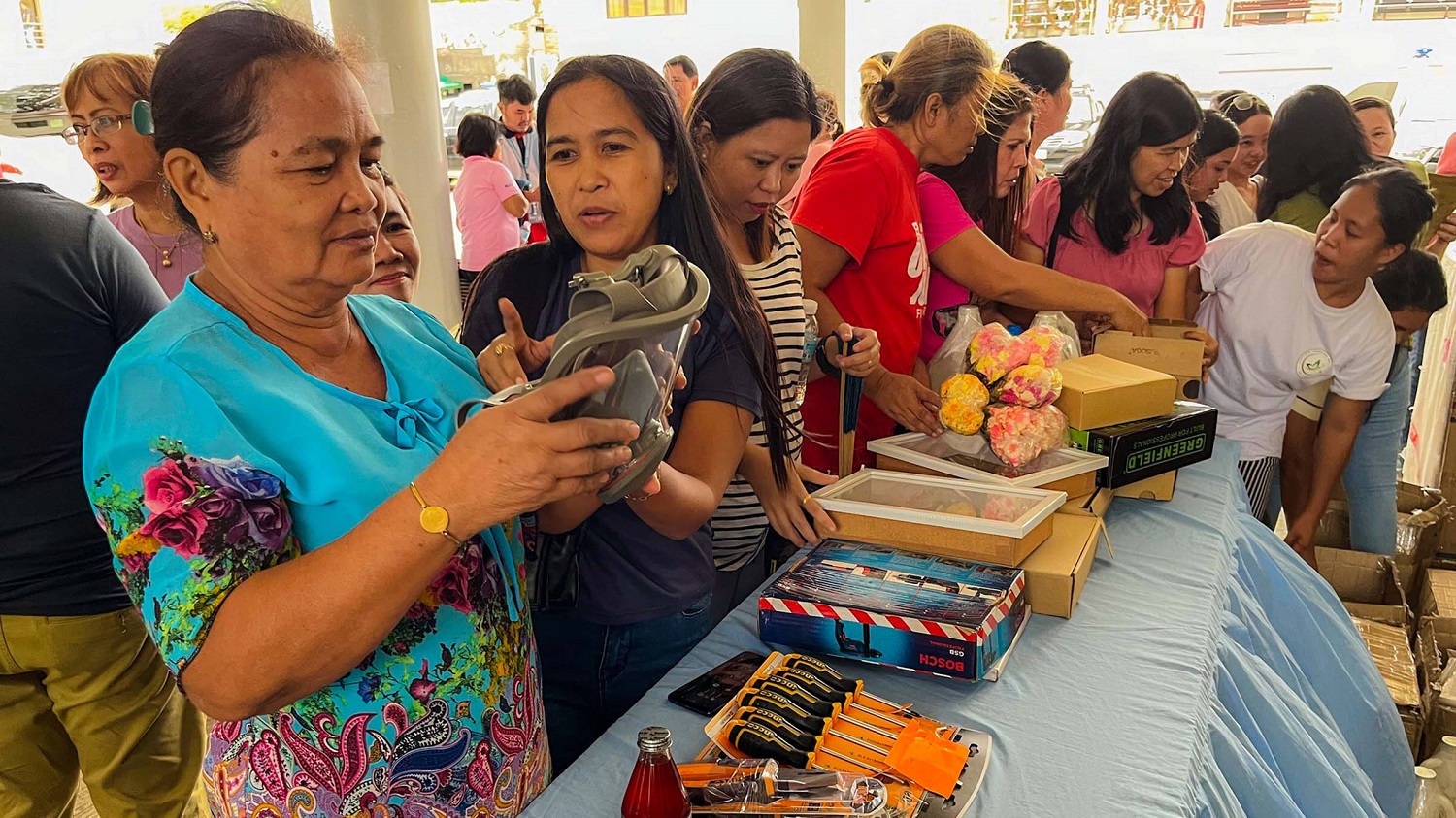 Marinduque butterfly breeders get aid from DOLE