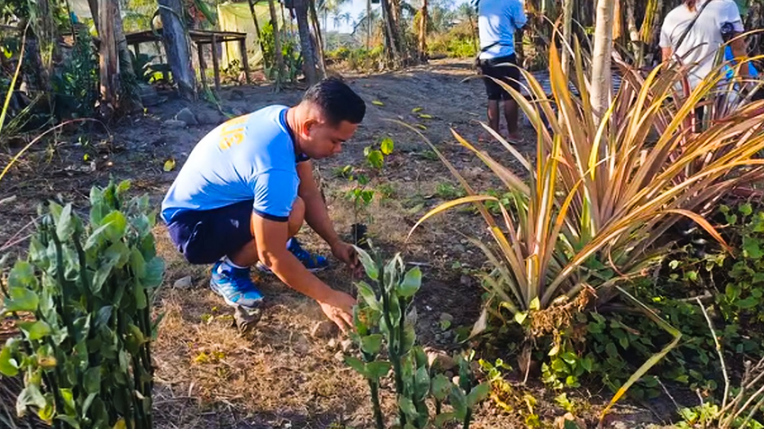 Gasan cops conducts tree planting activity in Dawis
